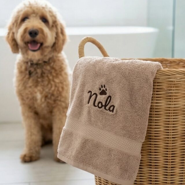 Modderpoten? Geen probleem! 🛁 Met deze zachte Labradodole handdoek is je viervoeter zo weer droog.
#labradodole #hondenzorg #dierenvrienden #instahond